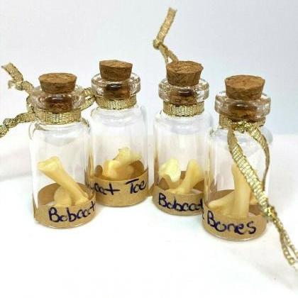 Handmade Oddity Jar Small Bones Altar Trinket,..